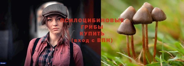 COCAINE Алексеевка