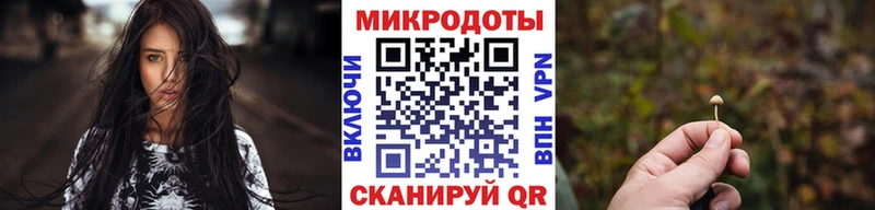 Купить  Сретенск  Псилоцибиновые грибы мицелий 